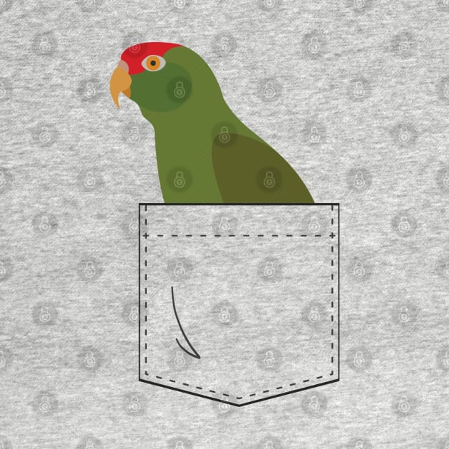 Cherry Head Conure Parrot In Your Front Pocket by einsteinparrot